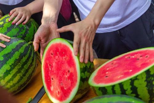 今日吃瓜免费观看,免费观看，畅享娱乐时光